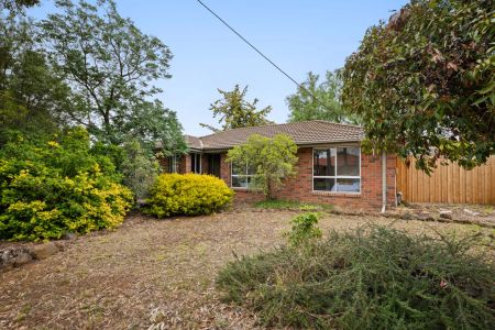 Freshly Painted Family Home with Brand New Carpet & Spacious Backyard - Photo 4