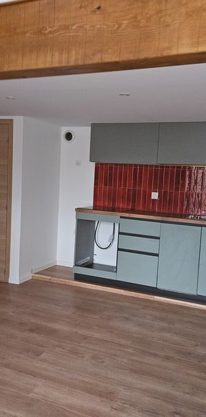 Location Appartement 2 pièces 51m² TOURNON SUR RHONE 07300 - Photo 1