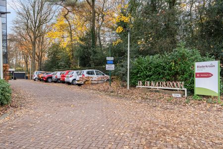 Appartement te huur: Molenweg 50-115 3708 SG Zeist - Foto 2