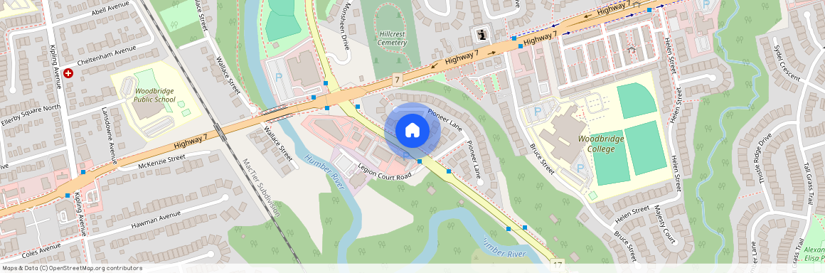 126 Pioneer Lane Unit# BSMT, Vaughan