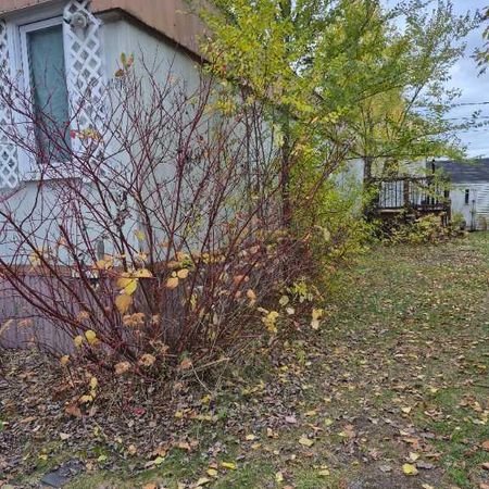 Maison mobile à louer - Photo 4