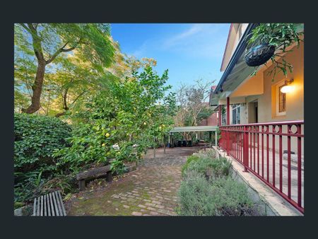 48a Richardson Street West, Lane Cove NSW 2066 - Apartment For Rent | Domain - Photo 5