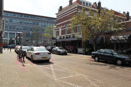 Rijklof van Goensstraat, 2593 EE, Den Haag - Foto 5