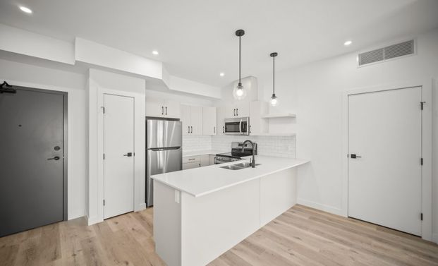 Hawthorne: Black Accents – 1800 Leila, Winnipeg, MB - Photo 1