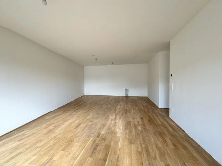 Gretls Garten – Miete mit Kaufoption – Erstbezug nahe Badeteich Hirschstetten - Foto 3
