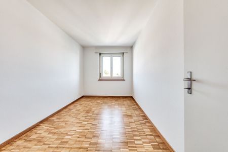 Living next to the Schüssinsel – Vivre près de l’île de la Suze - Foto 4