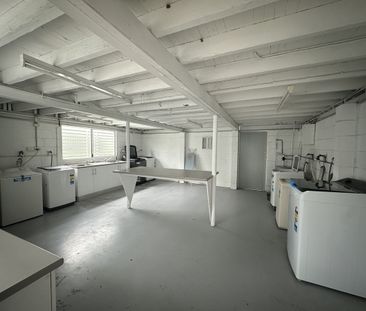 Freshly Updated Unit in Prime Wynnum Location - Photo 5