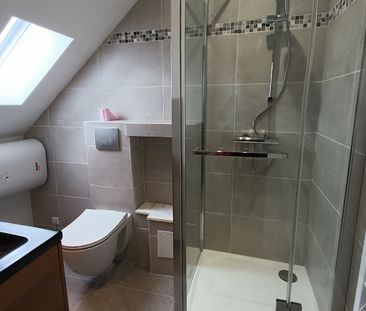 Location Appartement 1 pièce 18m² ORLEANS 45000 - Photo 3