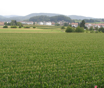 Grosszügige, helle 3-Zimmerwohnung an ruhiger und zentraler Lage! - Photo 1