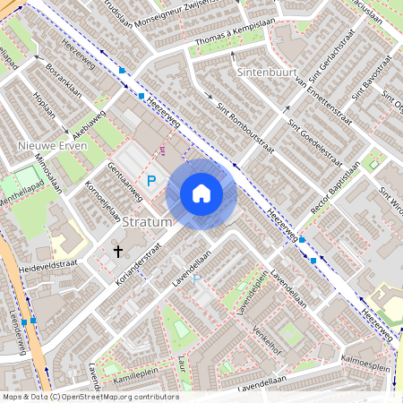 Nieuwe Erven, 5643 AS, Korianderstraat, Eindhoven