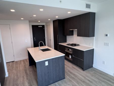 Luxury 1 bed 1 bath Condo at Water Street by the Park - Photo 5