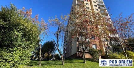 Bielsko-Biała, Osiedle Złote Łany, Mieszkanie na wynajem - Zdjęcie 5