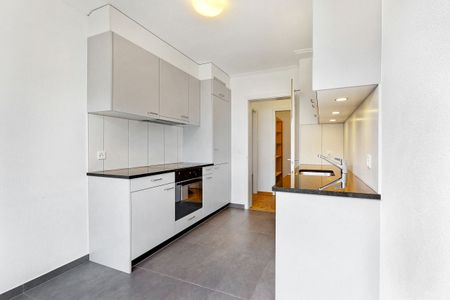 Vue sur le lac - Photo 2