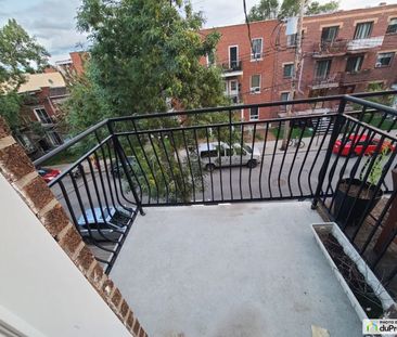 5197, 4e avenue, Rosemont / La Petite Patrie à louer - Photo 2