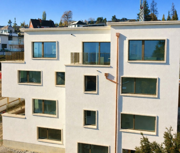 Zimmerbergstrasse 12 , 8800 Thalwil - Photo 6