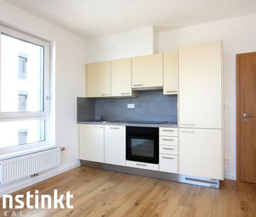 Pronájem bytu 2+kk 59 m², Vrbenská, České Budějovice - Photo 4