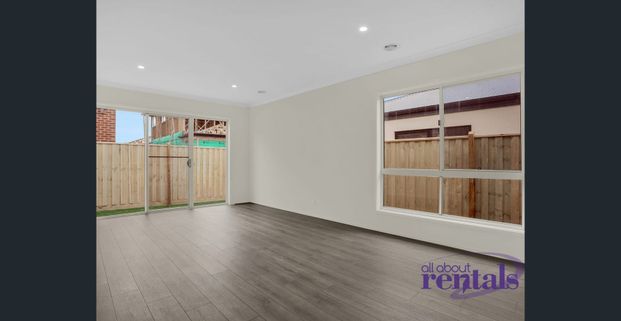 Daisy Dreaming! - Photo 1