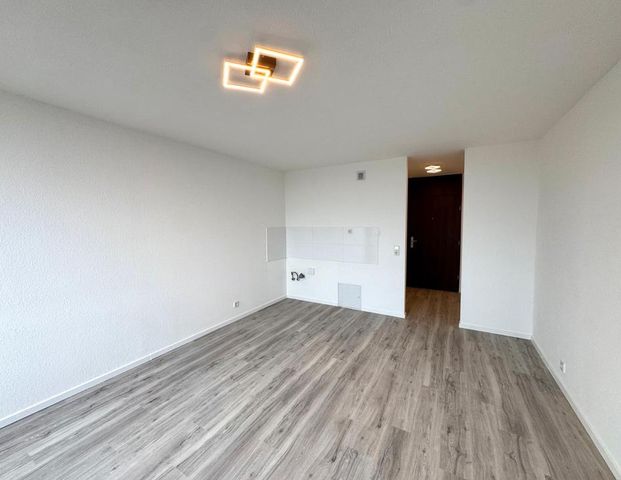 Renoviertes 1-Zimmer Appartement in Neunkirchen mit Ausblick - Foto 1