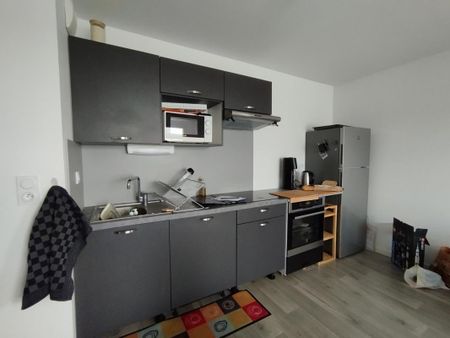 Appartement T3 à louer Pont Pean - 62 m² - Photo 3