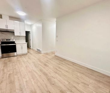 13185 236b St, Maple Ridge (Ground Level Basement B) - Photo 6
