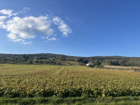 Erstbezug: Doppelhäuser/Reihenhäuser in der wunderbaren Umgebung Geschriebenstein - Photo 3