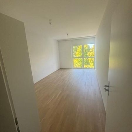 Rue des Lattes 21A-B-C, 1217 - Meyrin, Suisse - Foto 4
