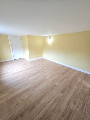 Spacious Basement Suite in Chilliwack - Photo 1