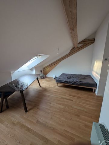 Superbe appartement au coeur de Lausanne - 1.5 pièce dans les combles - Photo 2