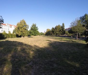 // 2-Raum Dachgeschoss-Wohnung mit EBK * frei ab 01.05. // - Photo 2