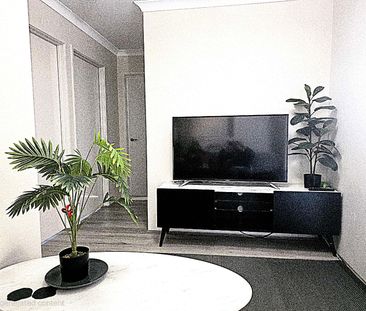 Parmelia - Photo 2