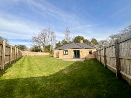 3 bedroom Detached Bungalow to let - Photo 2