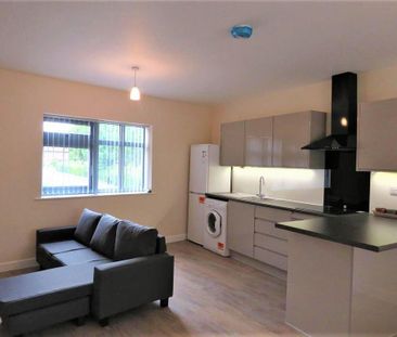 1 bedroom flat to rent - Photo 4
