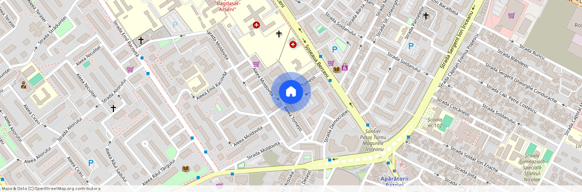 Aleea Tomesti nr 3, Berceni, Sectorul 4, Bucuresti