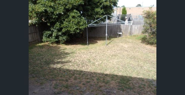 CHARMING RENOVATED 2 BEDROOM UNIT - Photo 1