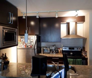 1-Bed 1-Bath Unit Large Den and View of Science World - Photo 1