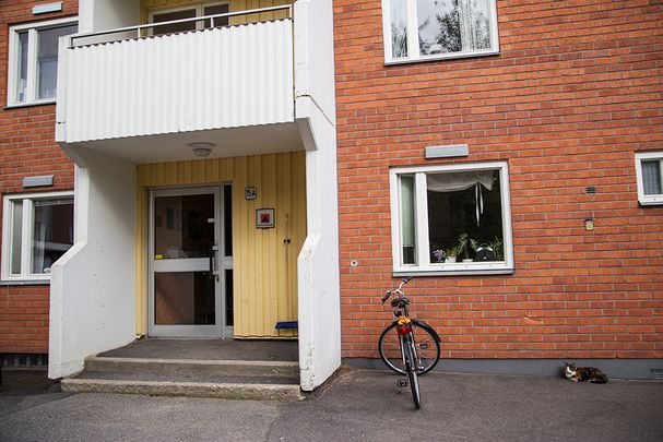 Ankarskatavägen 75 A, 94134, Piteå - Photo 1