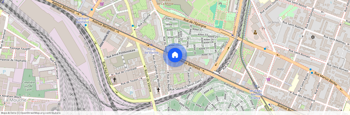 Avenue Berthelot, Francja, Lyon