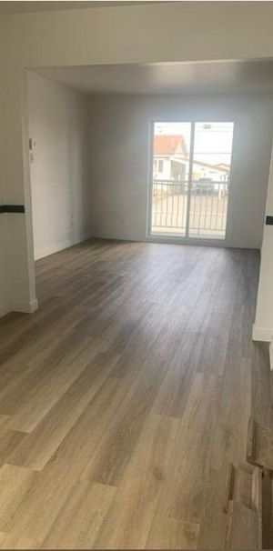 1 CH - 1 SDB - Saint-Césaire - $1,300 /mo - Photo 1