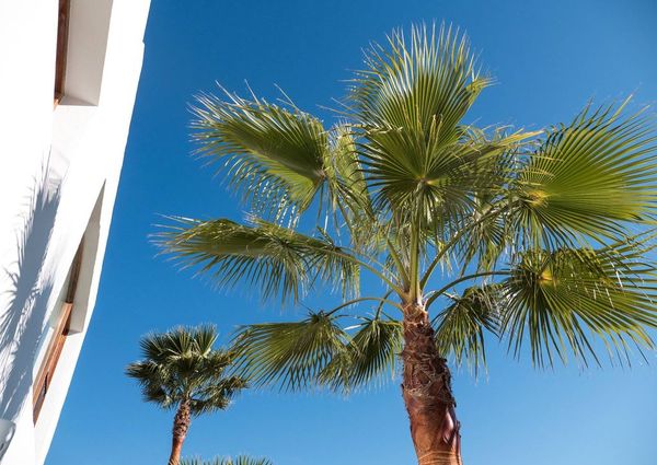 4 bedroom luxury Detached House for rent in Santa Eulària des Riu, Balearic Islands