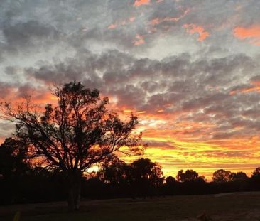 Forrestdale - Photo 6