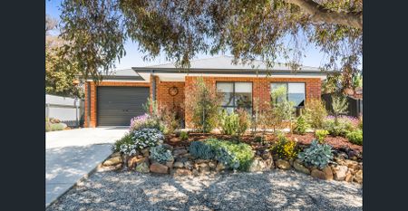 3 bedroom home in perfect Flora Hill position that offers a lot more - Photo 4