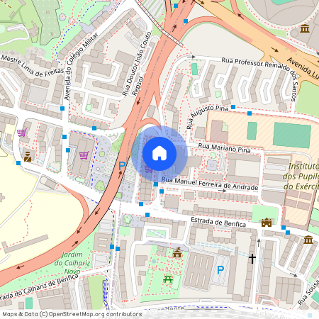 Prof Reinaldo dos Santos, Lisboa