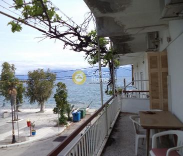 Μονοκατοικία για ενοικίαση Σελιανίτικα (Αιγιάλεια) - Photo 6