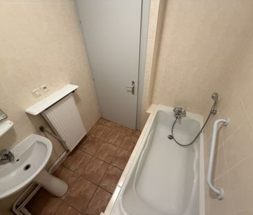 Location Appartement 3 pièces 64m² SELESTAT 67600 - Photo 5