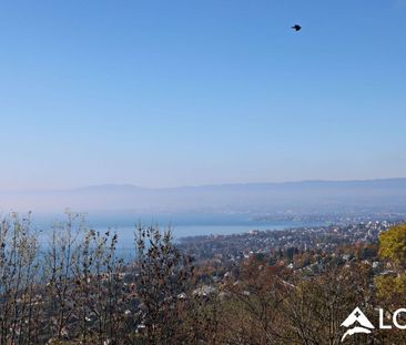 Magnificent Apartment 3.5 Rooms / 2 Bedrooms / Breathtaking View of... - Photo 5