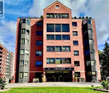 20 ELLEN Street E Unit# 204 | 20 ELLEN Street E Unit# 204, Kitchener - Photo 1