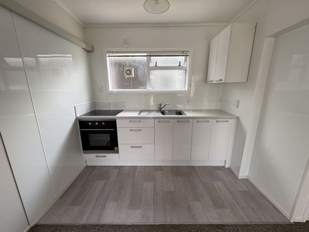 Spacious One-Bedroom unit for rent - Prime central location - Victoria - Photo 4