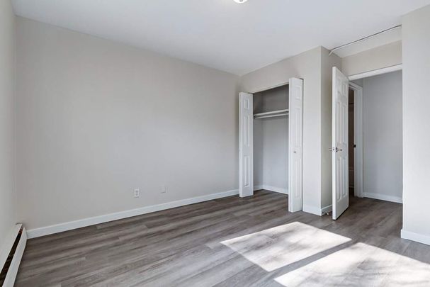 Renovated Suite - 1 Bedroom - Photo 1
