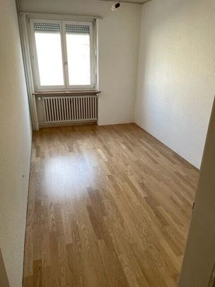 Attractive 3-room apartment next to Rosengarten! - Photo 1