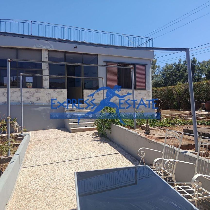 Μονοκατοικία για ενοικίαση Νέα Μάκρη - Photo 1